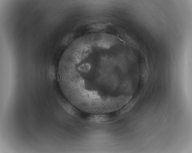 X0000113140758200909110934