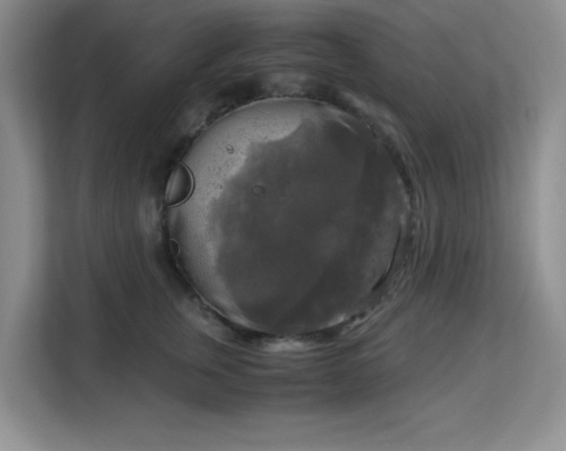 X0000113140759200909110934