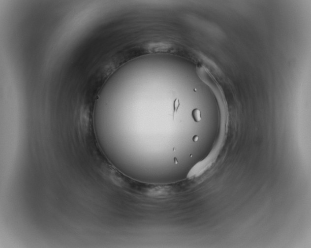 X0000113140761200909110934