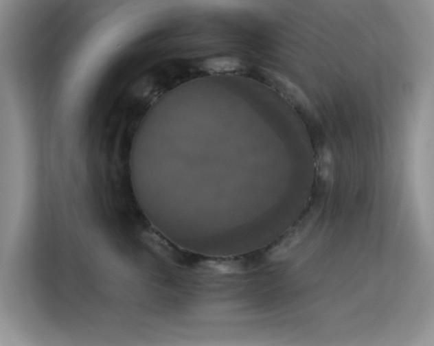 X0000113140763200909110934