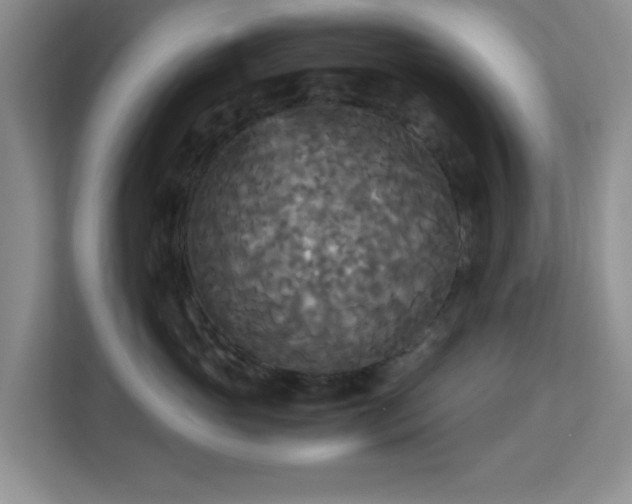 X0000113140765200909110934