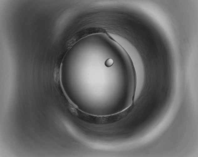 X0000113140766200909110934