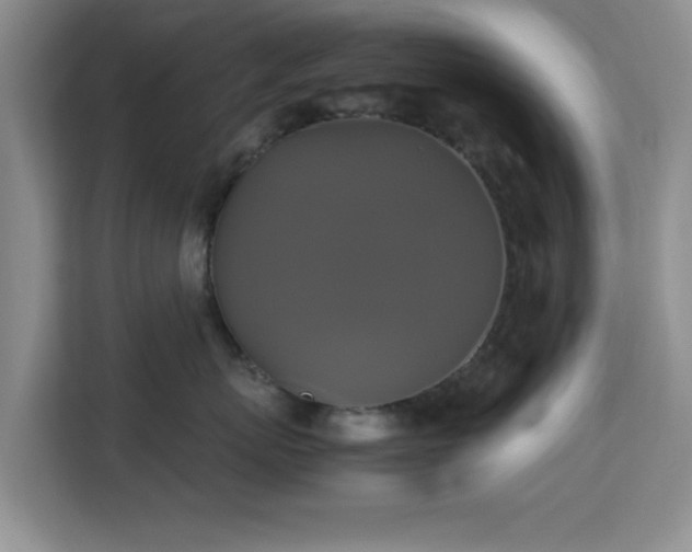 X0000113140767200909110934