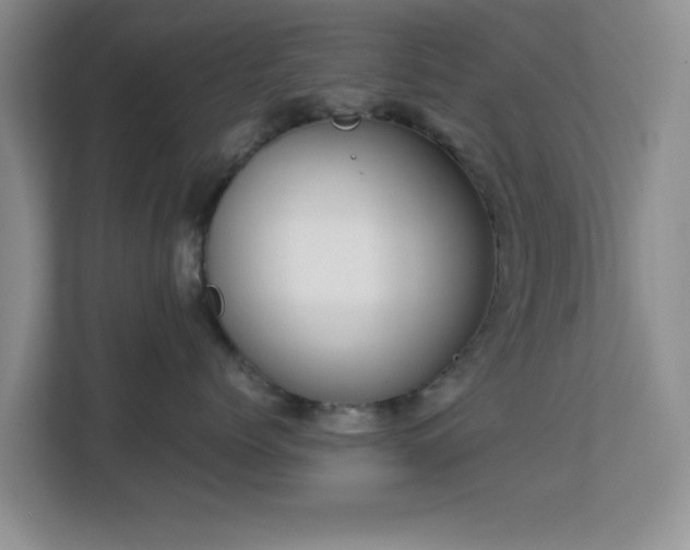 X0000113140768200909110934