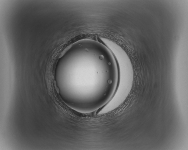 X0000113140769200909110933