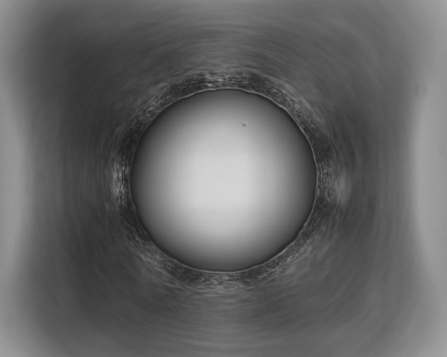 X0000113140770200909110933