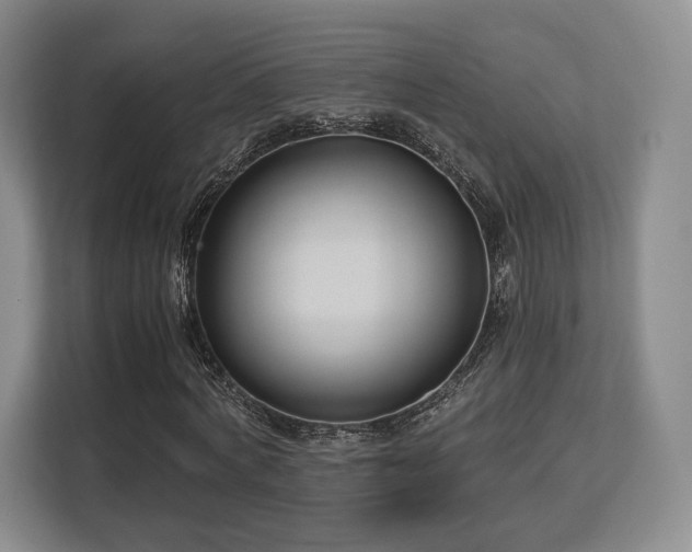 X0000113140772200909110933