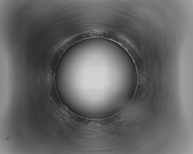 X0000113140773200909110933