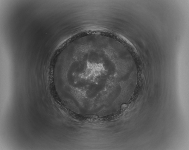 X0000113140775200909110933