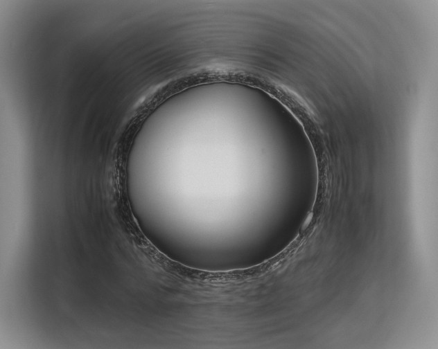 X0000113140776200909110933