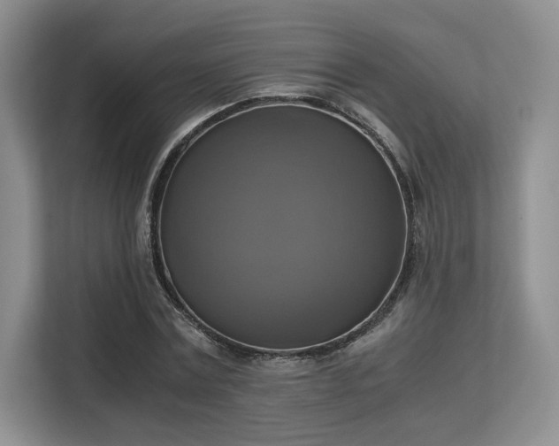 X0000113140779200909110933