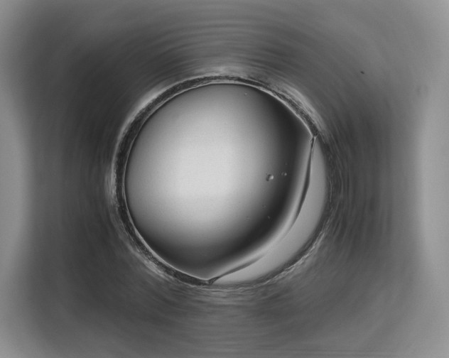 X0000113140780200909110933