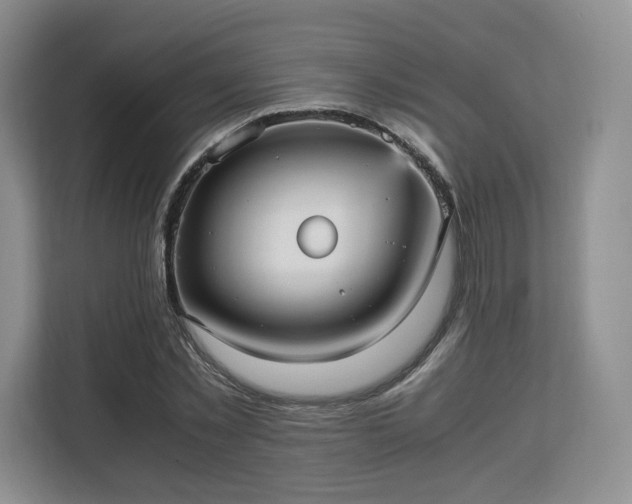 X0000113140781200909110933