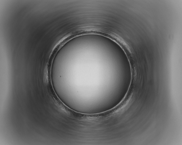 X0000113140782200909110933