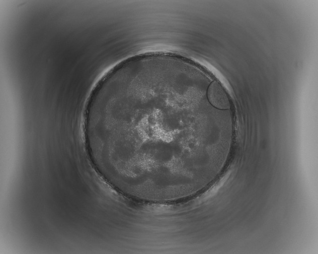 X0000113140783200909110933