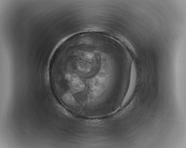 X0000113140784200909110933