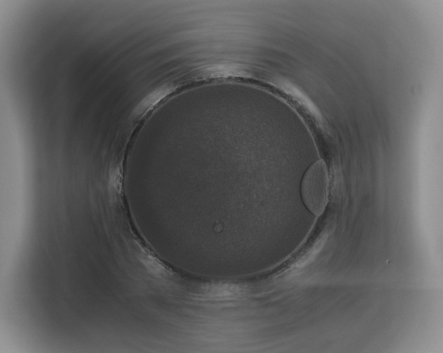 X0000113140785200909110933