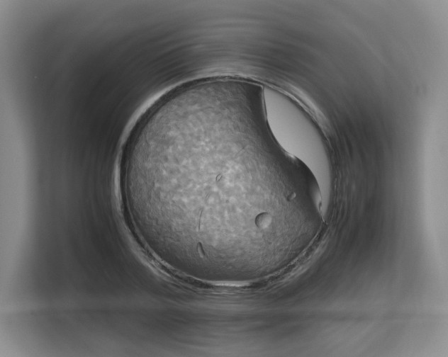 X0000113140788200909110933