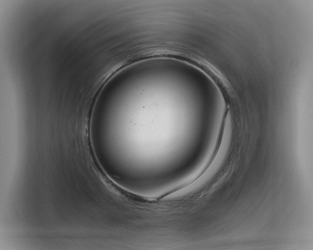 X0000113140793200909110933