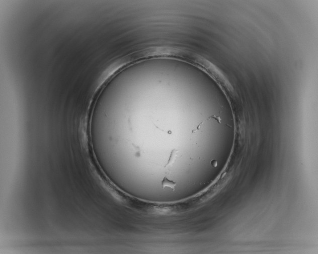 X0000113140794200909110933