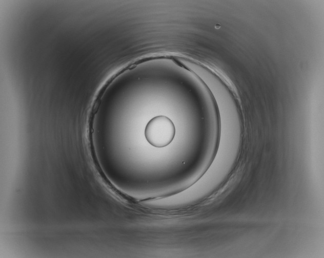 X0000113140797200909110933