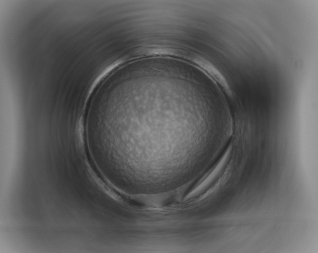 X0000113140798200909110933