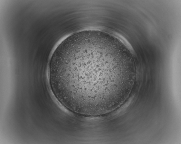 X0000113140804200909110933