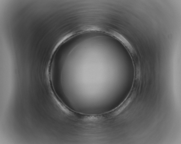 X0000113140806200909110933