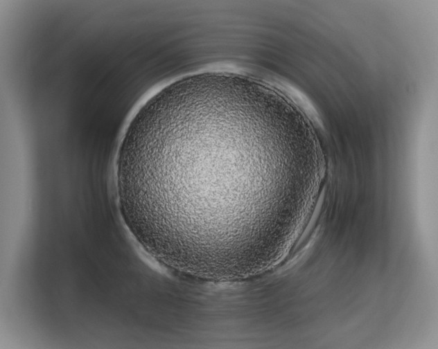 X0000113140808200909110933