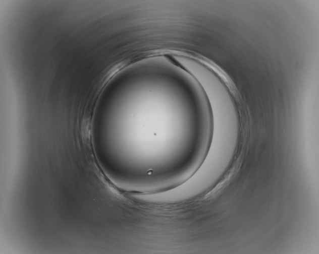 X0000113140809200909110933