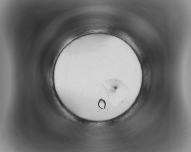 X0000113140810200909110933