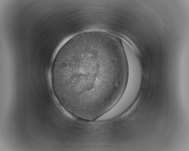 X0000113140812200909110933