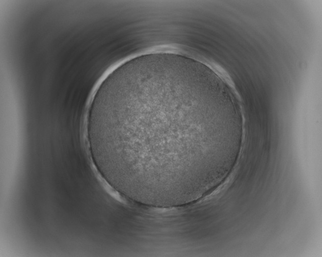 X0000113140816200909110932