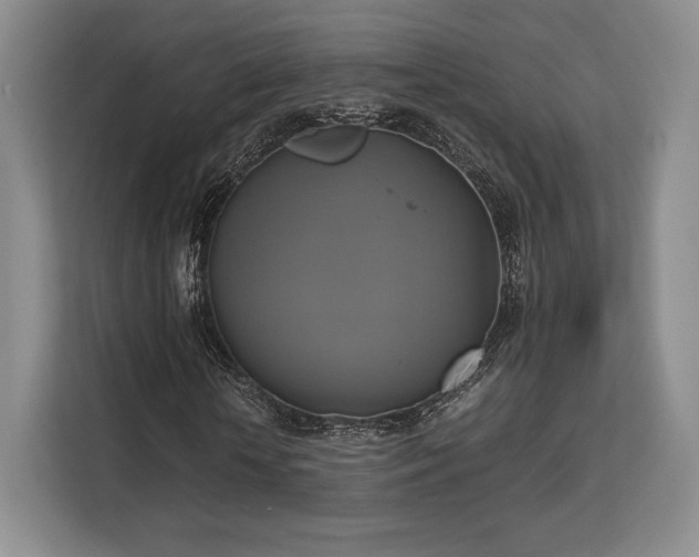 X0000113140818200909110932