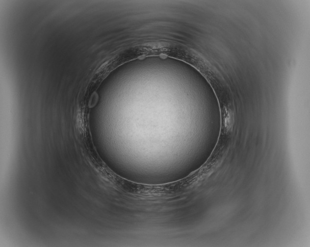 X0000113140819200909110932