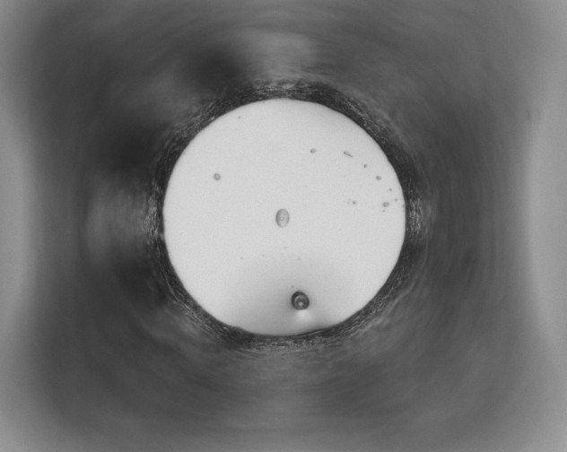 X0000113140820200909110932