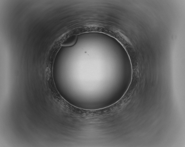 X0000113140821200909110932