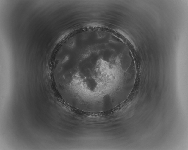 X0000113140823200909110932