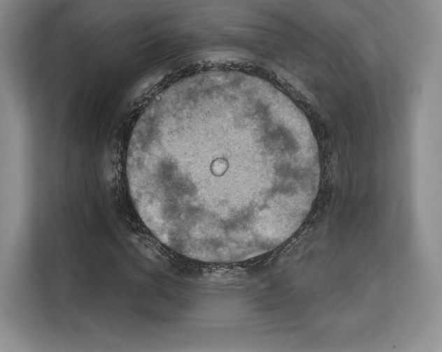 X0000113140824200909110932