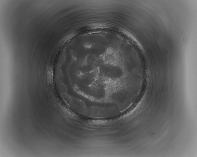 X0000113140825200909110932