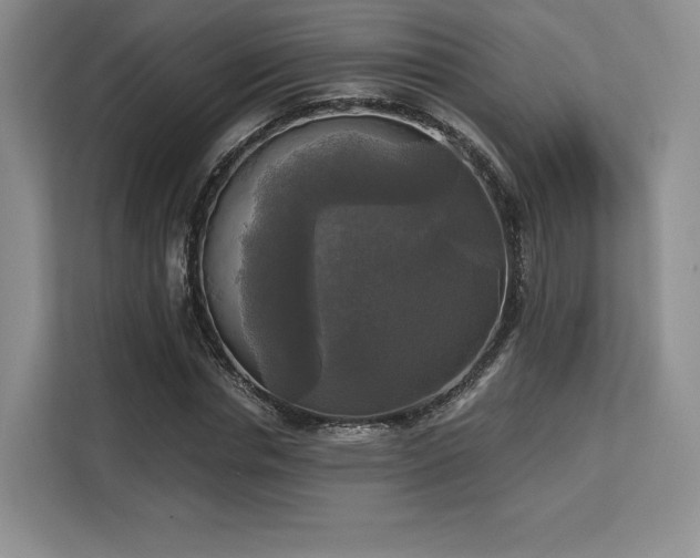 X0000113140826200909110932