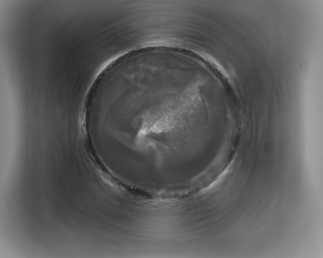 X0000113140830200909110932