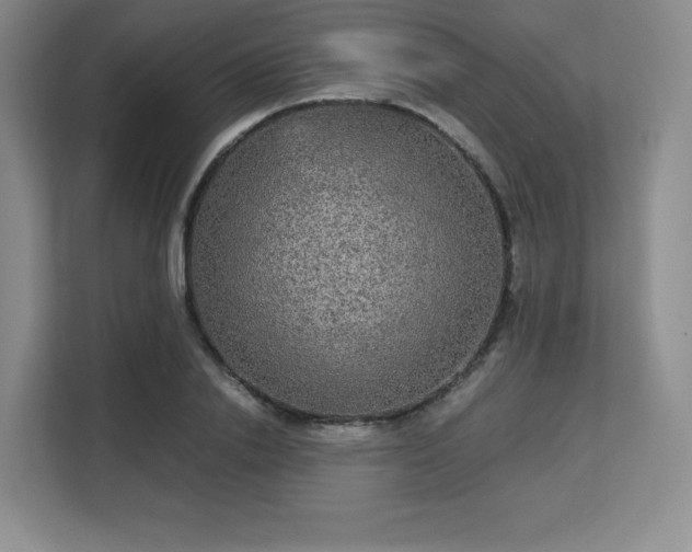 X0000113140838200909110932