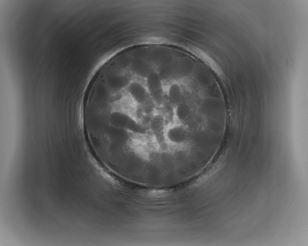 X0000113140839200909110932