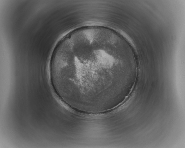 X0000113140840200909110932