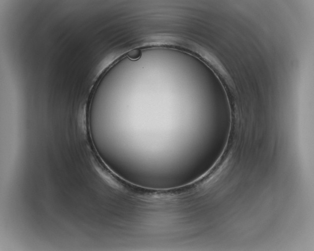 X0000113140842200909110932