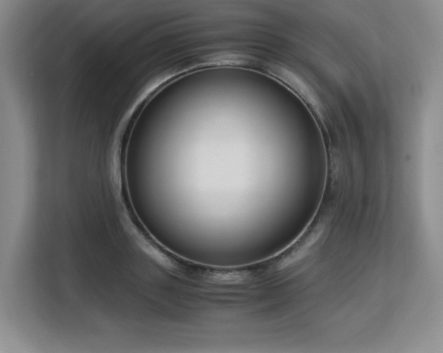 X0000113140843200909110932