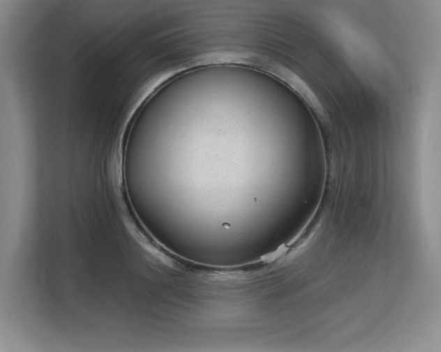 X0000113140844200909110932