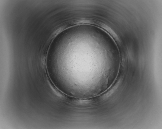 X0000113140849200909110932