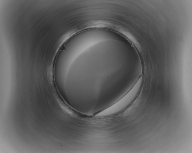 X0000113140850200909110932